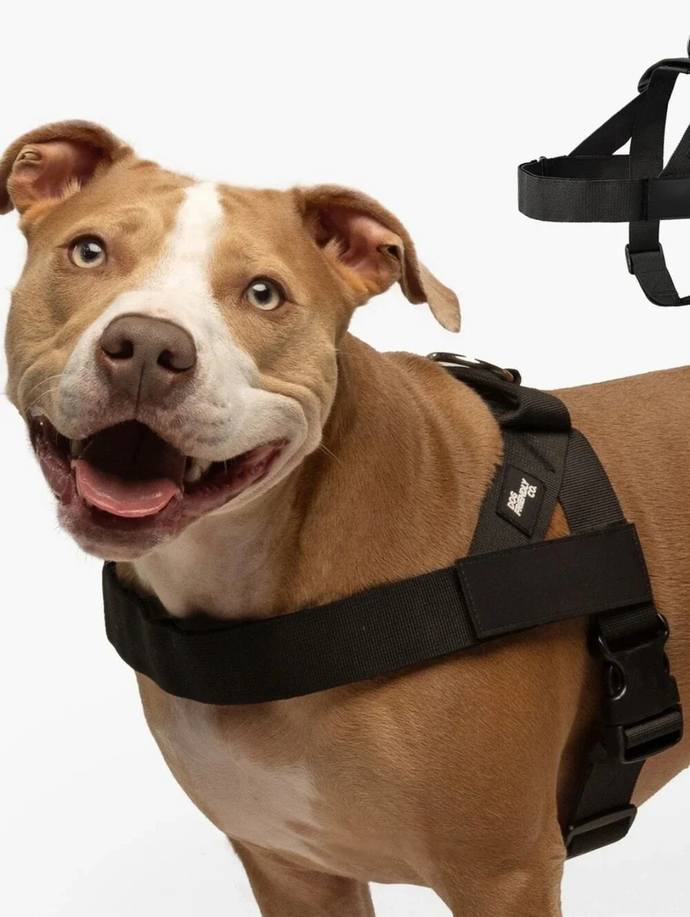 Navy blue. No-Pull Dog Harness by Dog Freindly - Secure Comfort